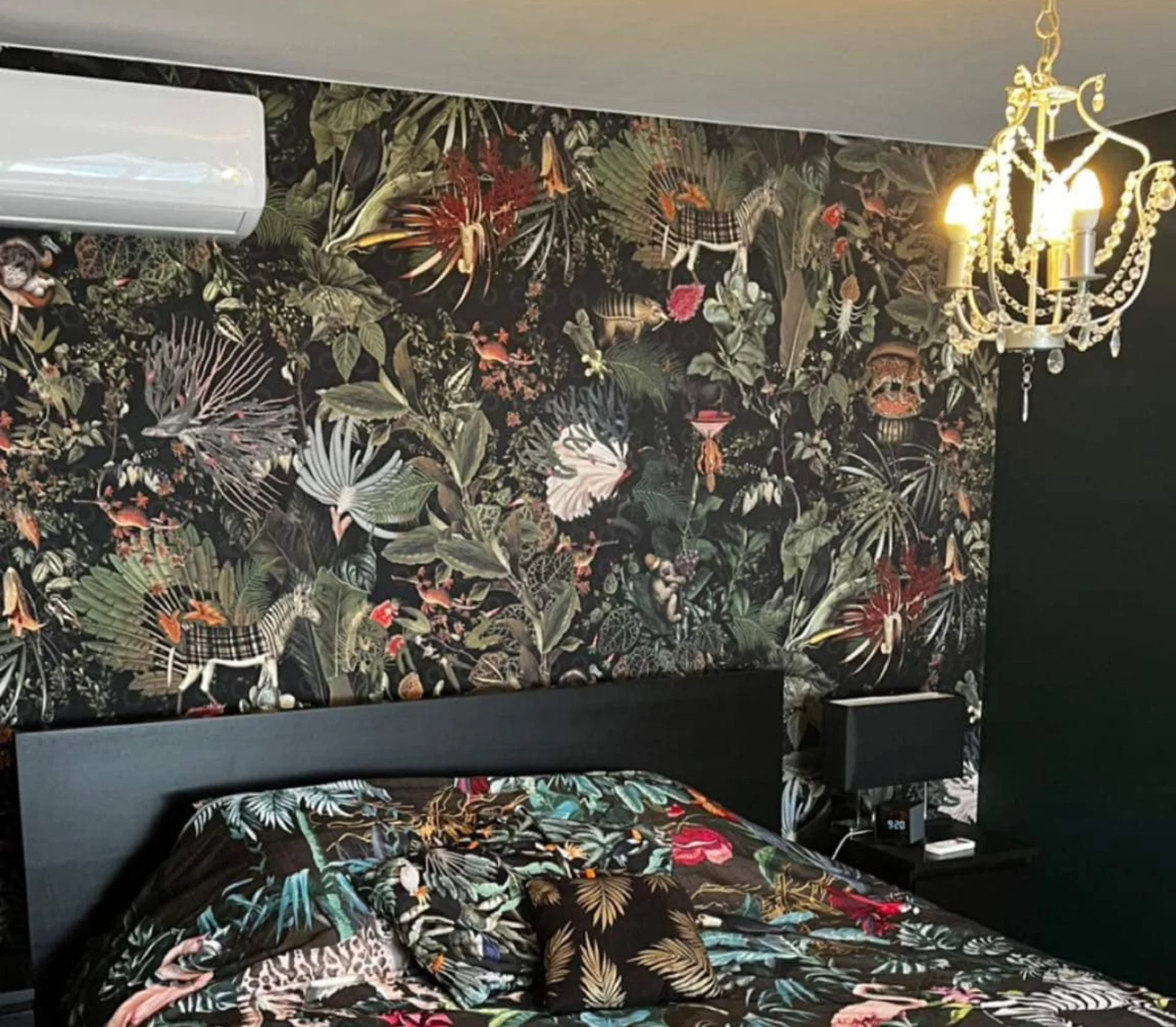 Pose de papier peint professionnelle - Peinture Anzaldi